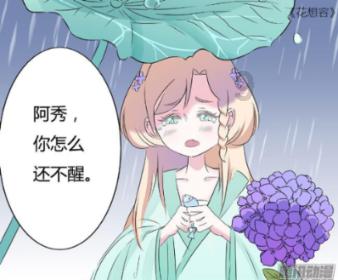 侍忍者