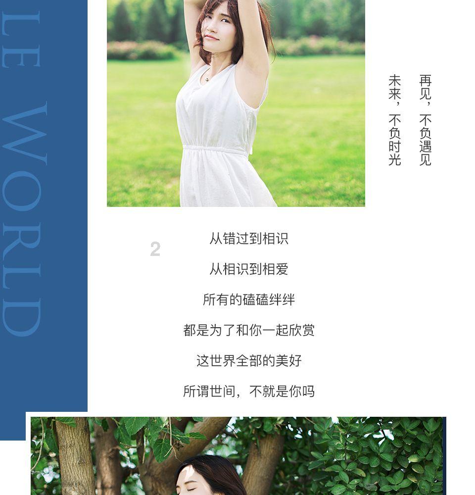 流星蝴蝶剑